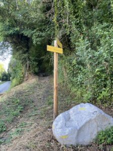 00000230-PHOTO-2025-09-16-09-38-03