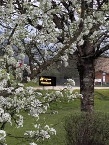 00000232-PHOTO-2025-09-16-09-38-03