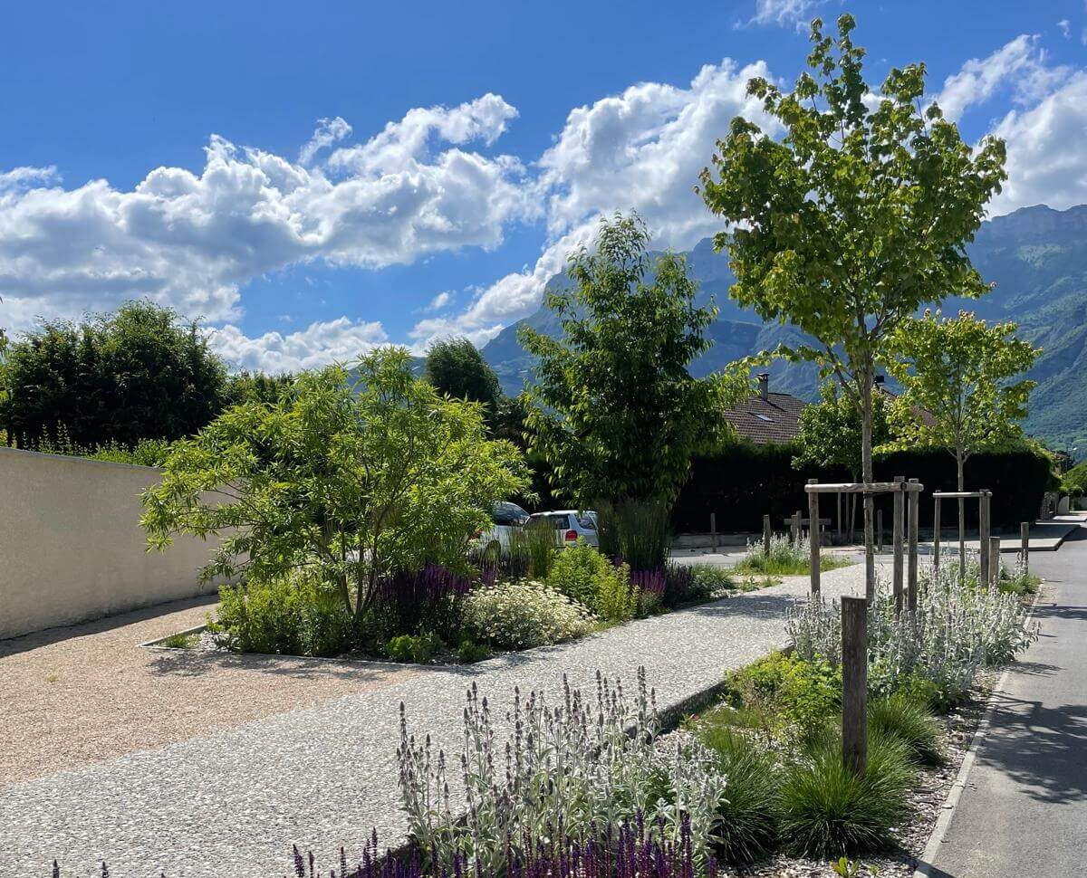 00000252-PHOTO-2025-09-16-09-40-13