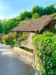 00000316-PHOTO-2025-09-16-10-21-20