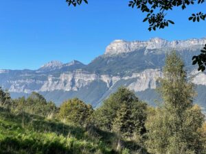 00000356-PHOTO-2025-09-16-10-44-08