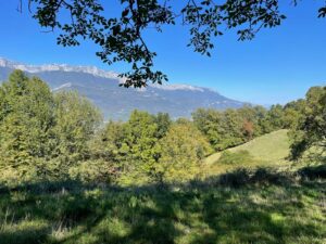 00000357-PHOTO-2025-09-16-10-44-08