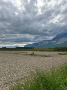 WhatsApp Image 2025-11-09 at 19.03.26 (3)