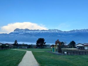 WhatsApp Image 2025-11-09 at 19.03.26