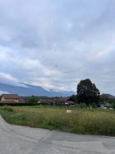 WhatsApp Image 2025-11-09 at 19.04.34 (1)