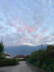 WhatsApp Image 2025-11-09 at 19.04.34