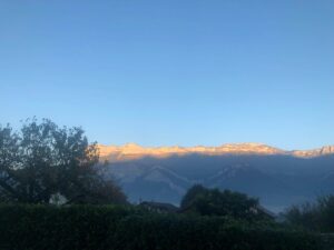 WhatsApp Image 2025-11-09 at 19.04.49