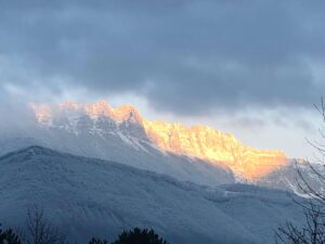 WhatsApp Image 2025-11-09 at 19.05.07