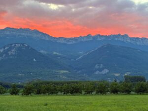 WhatsApp Image 2025-11-09 at 19.10.03 (3)