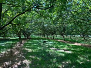 WhatsApp Image 2025-11-09 at 19.10.03