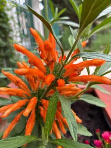 WhatsApp Image 2025-11-09 at 19.11.47 (1)