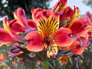 WhatsApp Image 2025-11-09 at 19.11.47