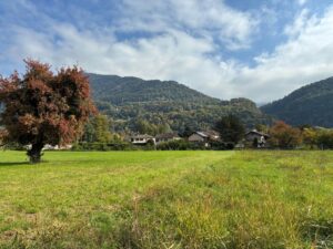 WhatsApp Image 2025-11-09 at 19.12.21