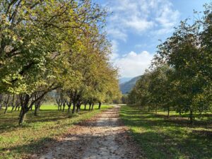 WhatsApp Image 2025-11-09 at 19.12.21 (4)