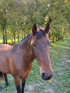 WhatsApp Image 2025-11-09 at 19.12.22